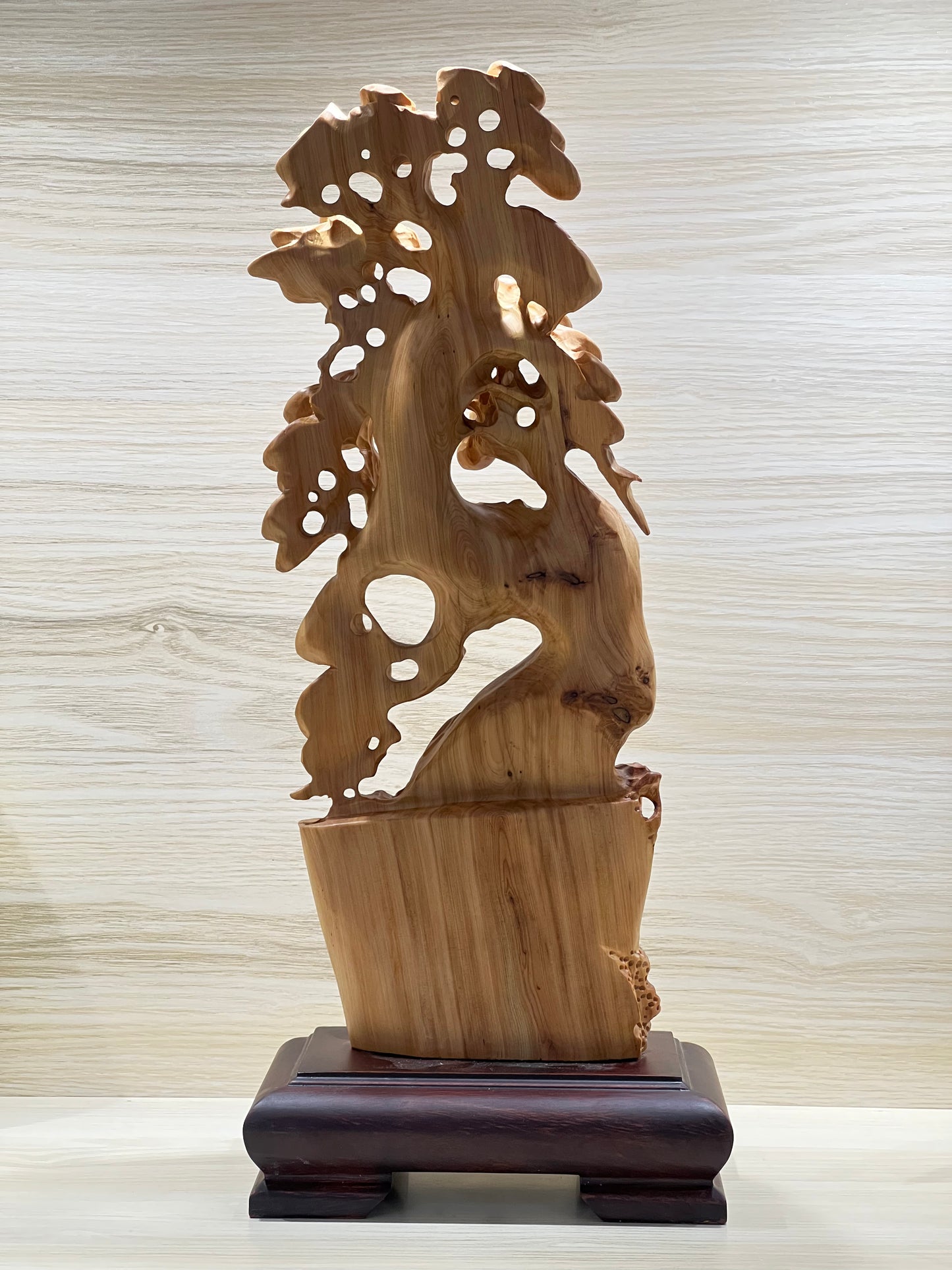 Thuja Wood Money Tree Carving