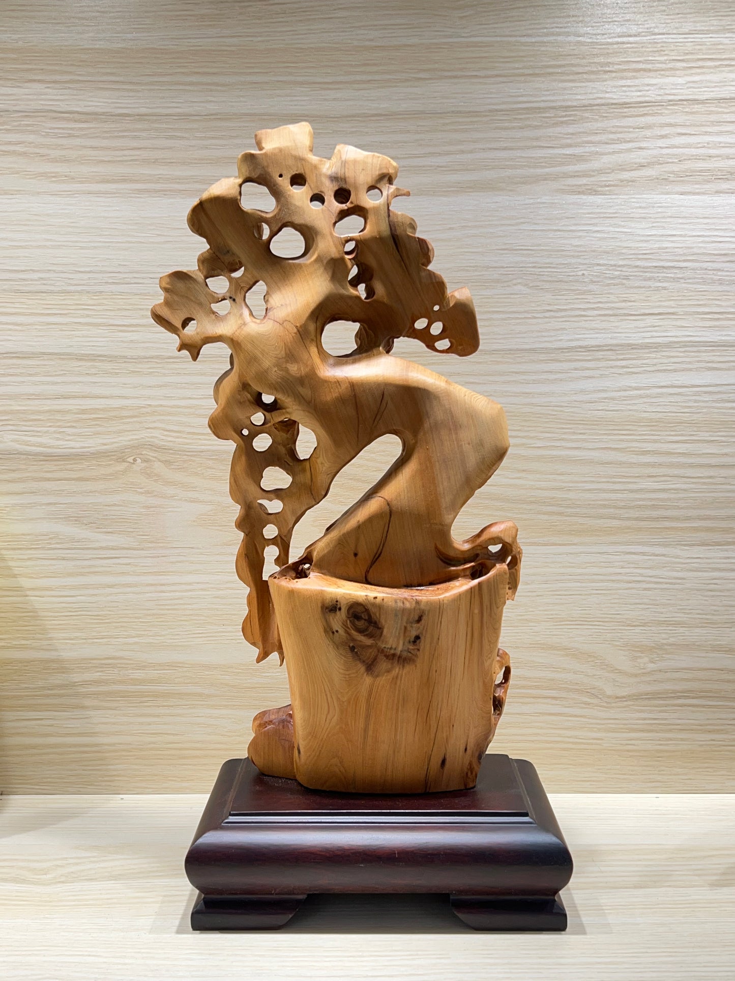 Thuja Wood Money Tree Carving